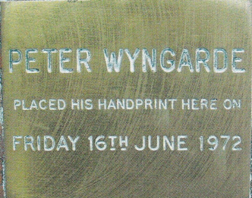 13490848_1370886179604801_5896457694034628433_o