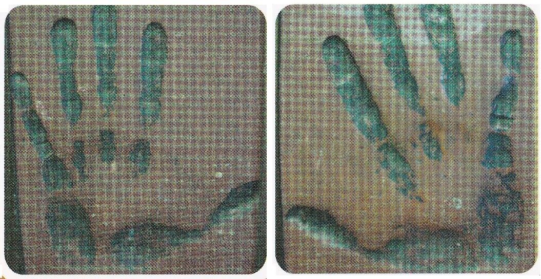 13503083_1370886069604812_7229214223205449123_o