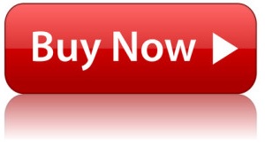 This image has an empty alt attribute; its file name is buy-now-button-300x205-1.jpg