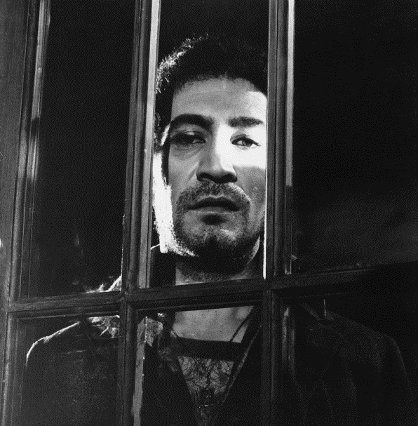 This image has an empty alt attribute; its file name is quint.jpg